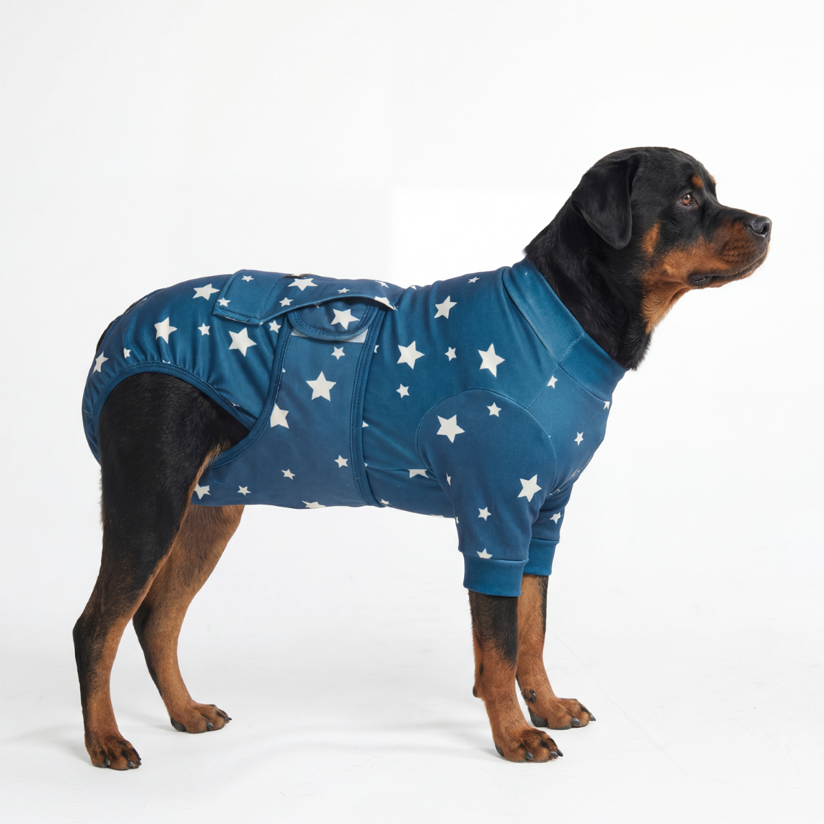Dog Surgical Suit - Stars - Image 6
