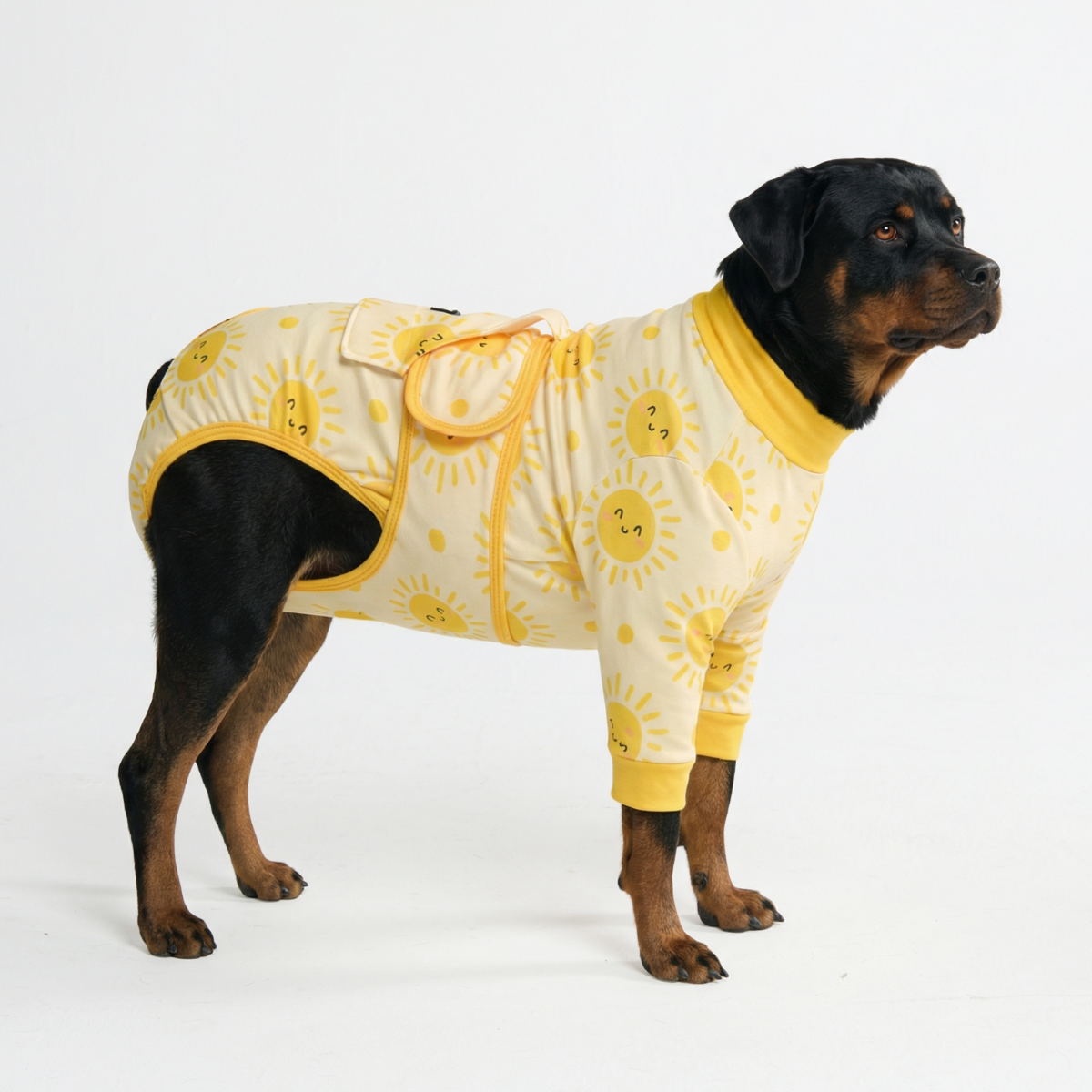 Dog Surgical Suit - Sunshine - Image 6