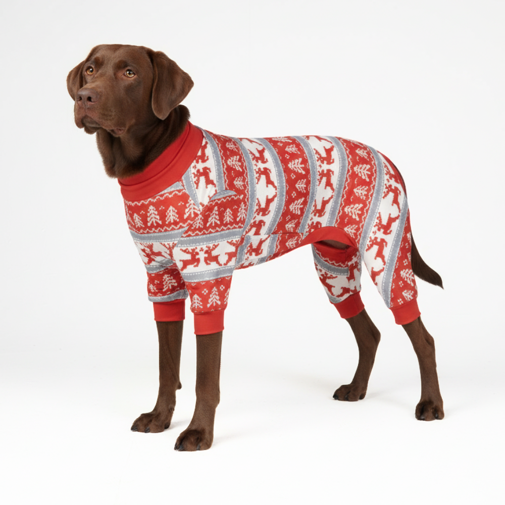 Dog Christmas Pajama - Winter Wonderland - Image 6