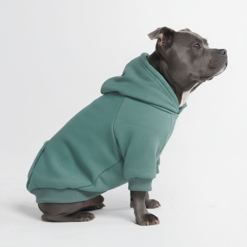Essential Dog Hoodie - Teal - Image 6