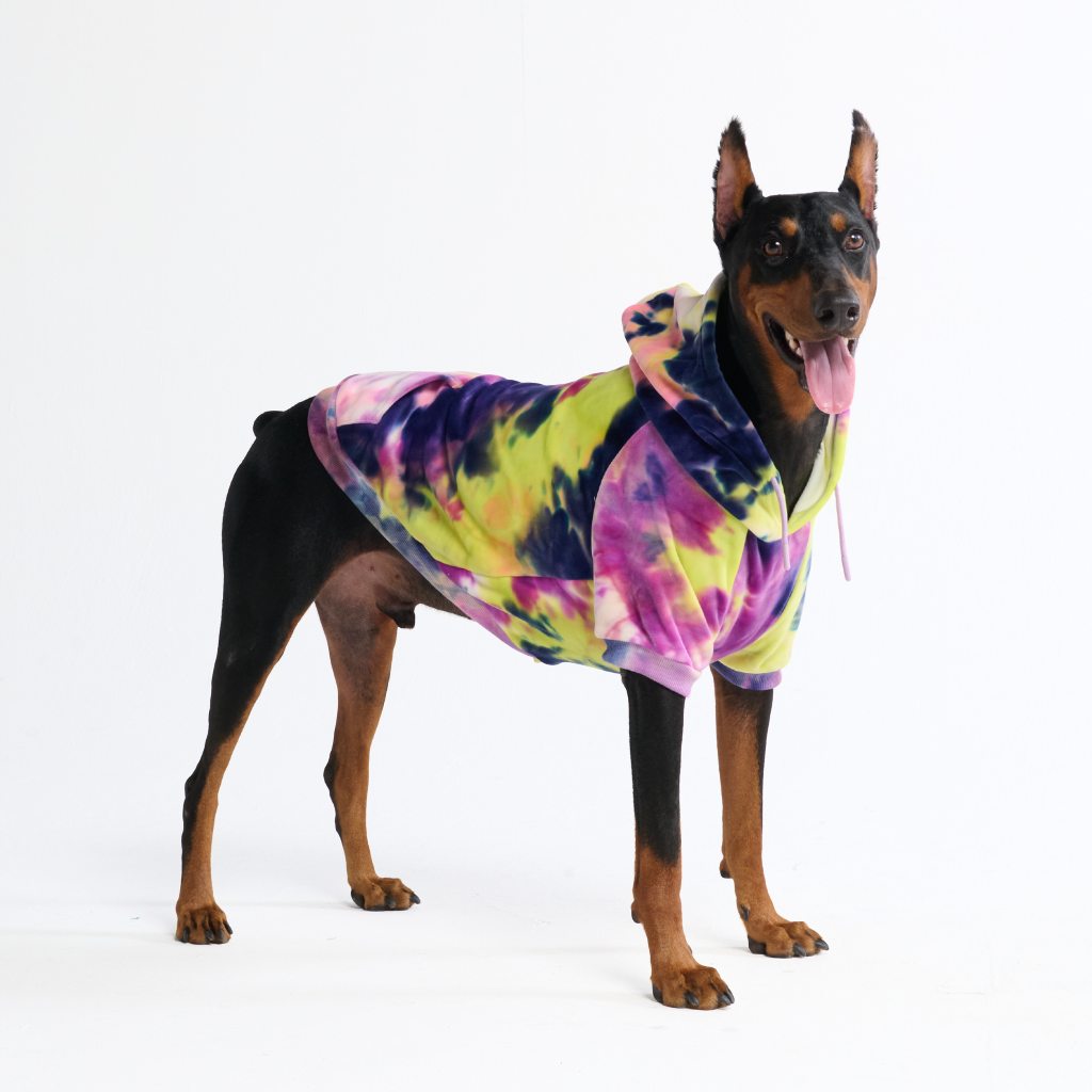 Velvet Dog Hoodie - Berry Lemonade - Image 6