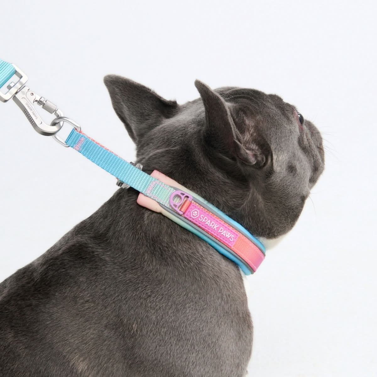 Cushioned Martingale Collar - Pastel Icing - Image 3