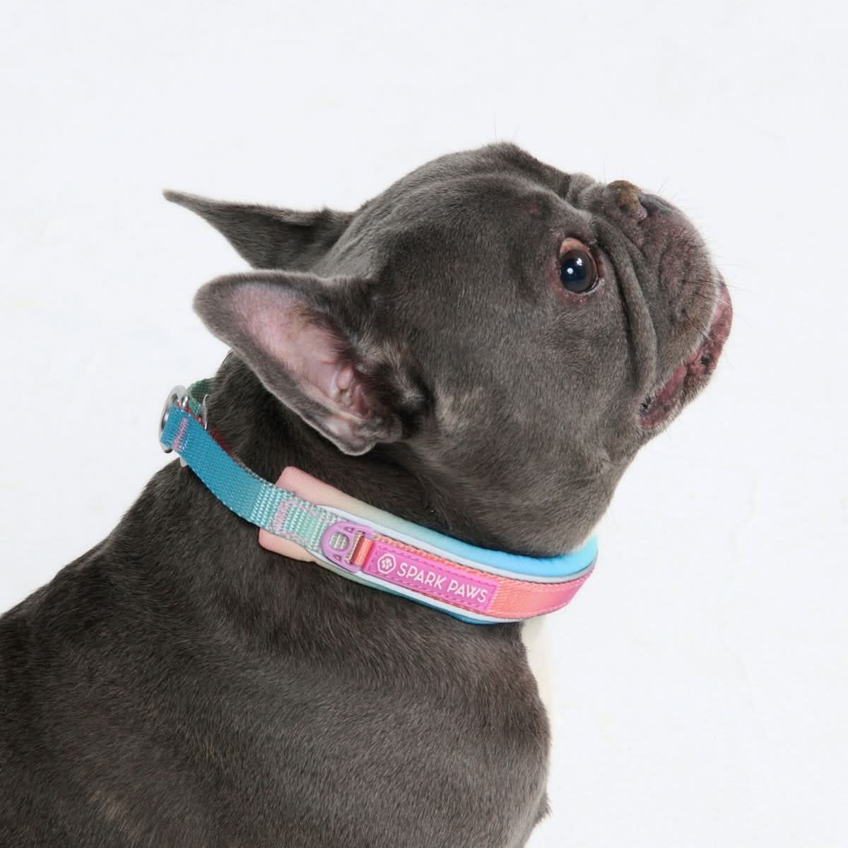 Cushioned Martingale Collar - Pastel Icing - Image 4