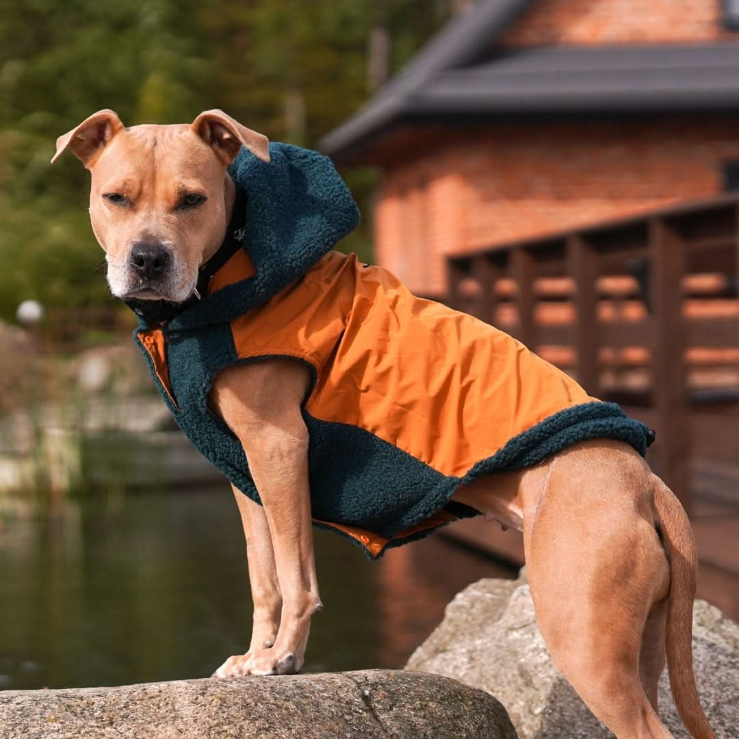 Reversible Jacket - Green and Orange - Image 9
