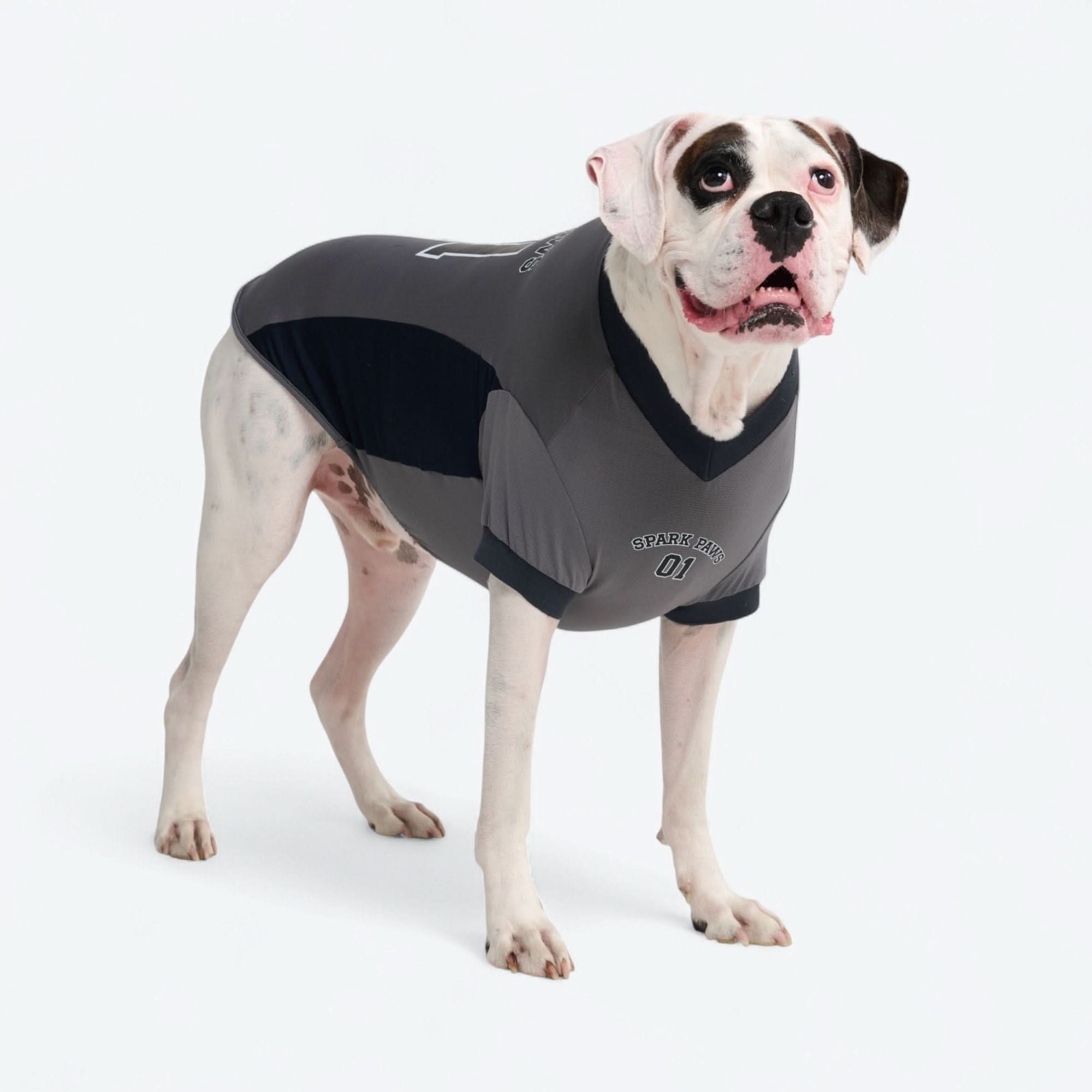 Football Mesh Jersey - Grey - Image 5