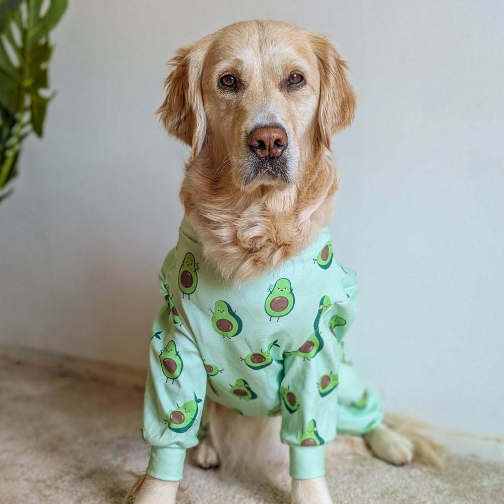 Dog Pajama - Avocado - Image 12
