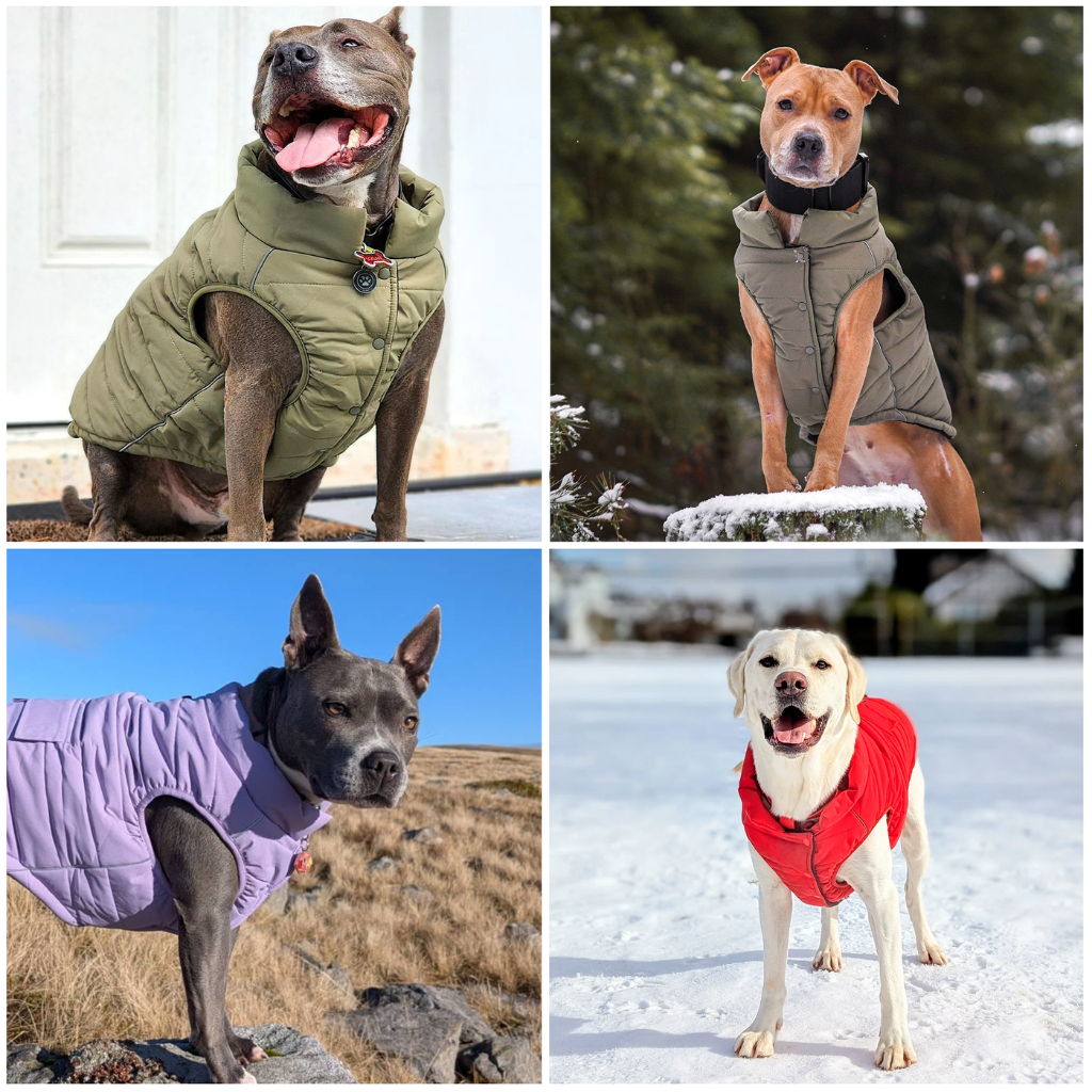WarmShield Water-Resistant Jacket - Tan - Image 11