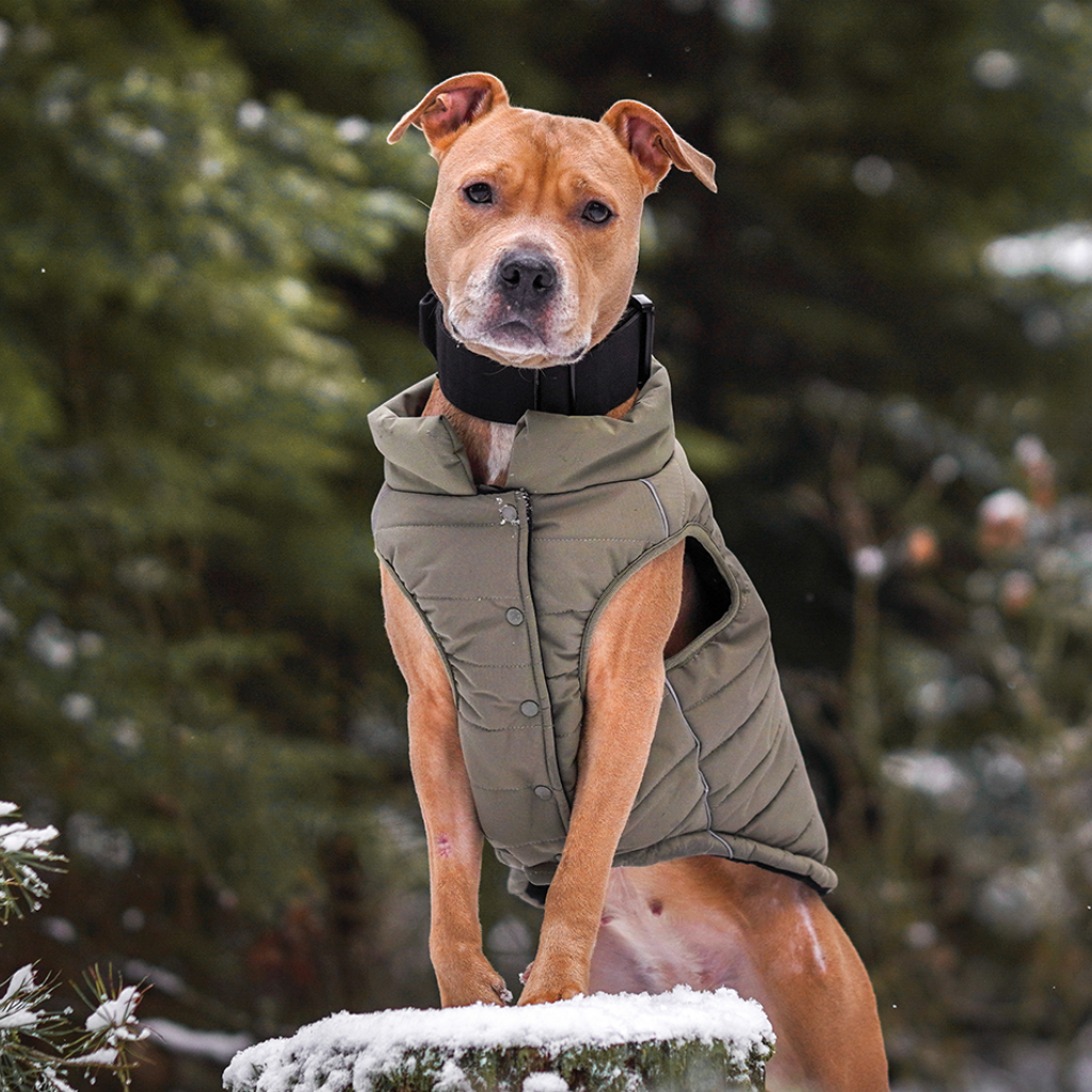 WarmShield Water-Resistant Jacket - Olive - Image 15