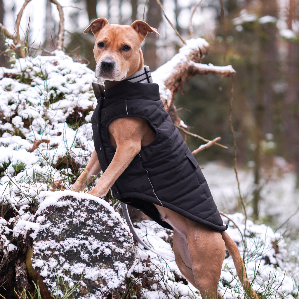 WarmShield Water-Resistant Jacket - Black - Image 15