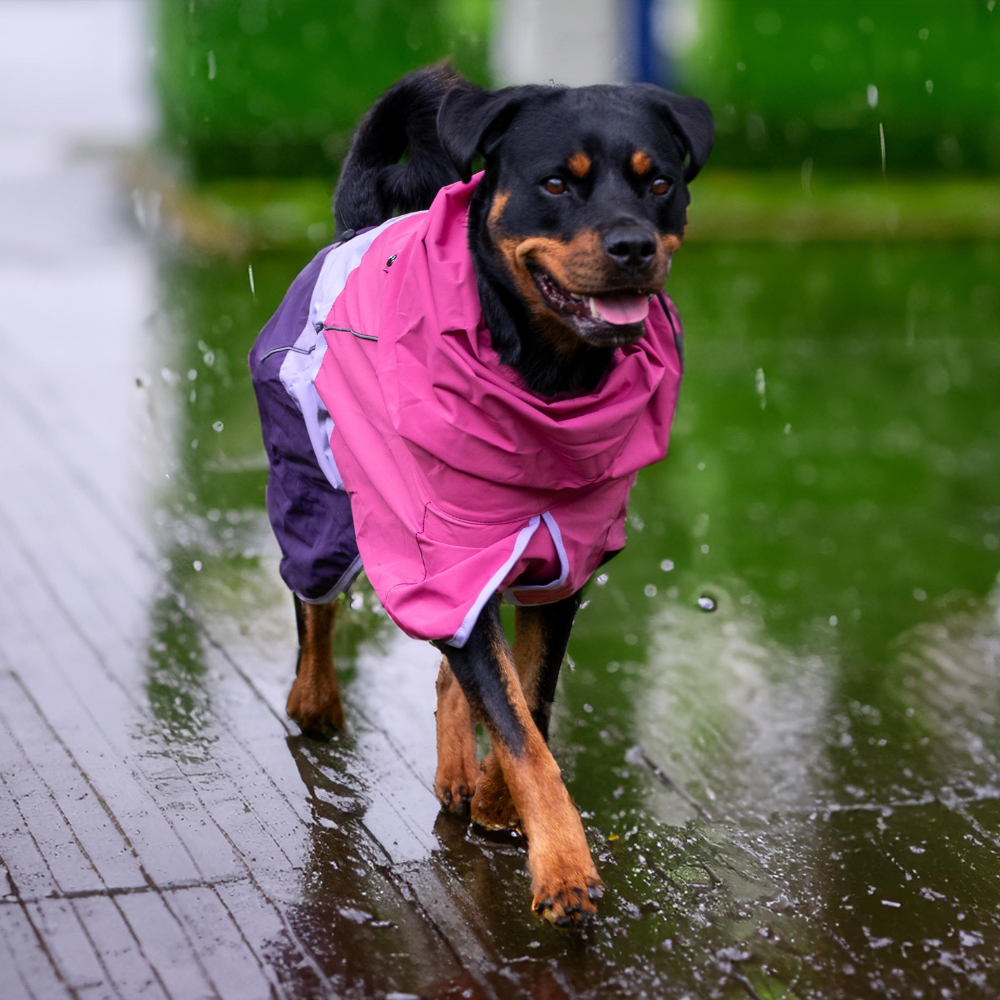 Breatheshield™ Dog Raincoat - Pink Lilac Purple - Image 10