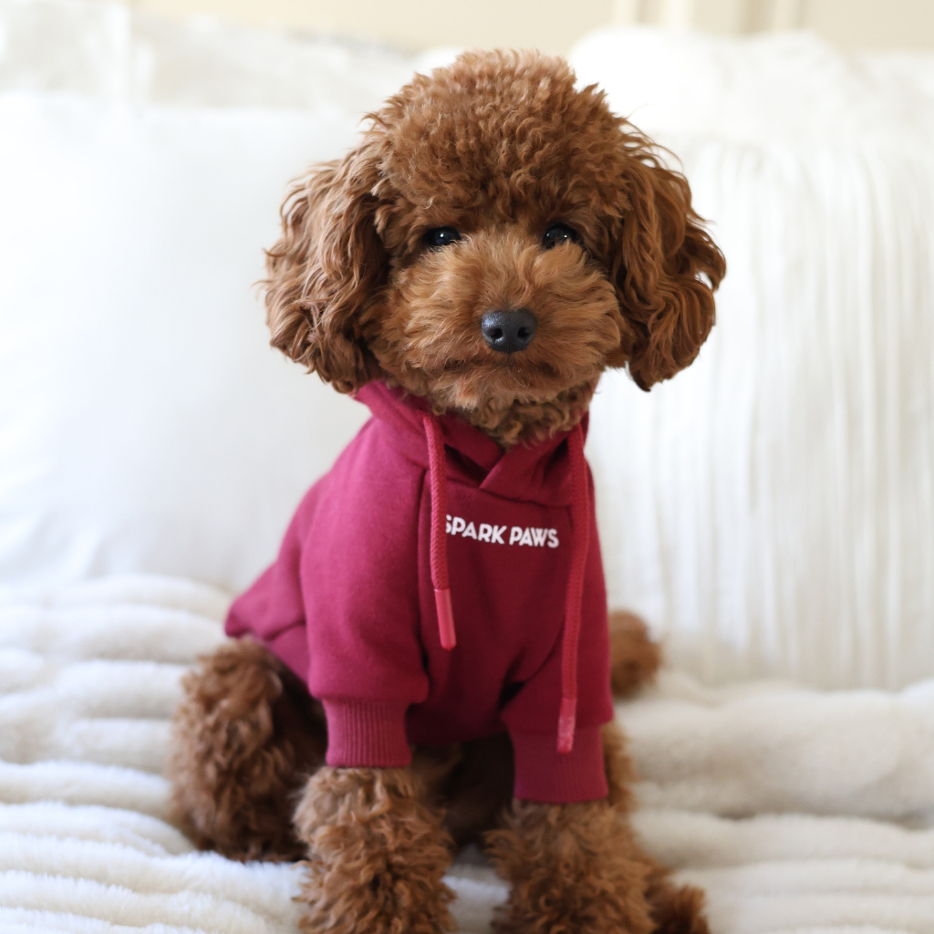 Essential Dog Hoodie - Burgundy - Image 13