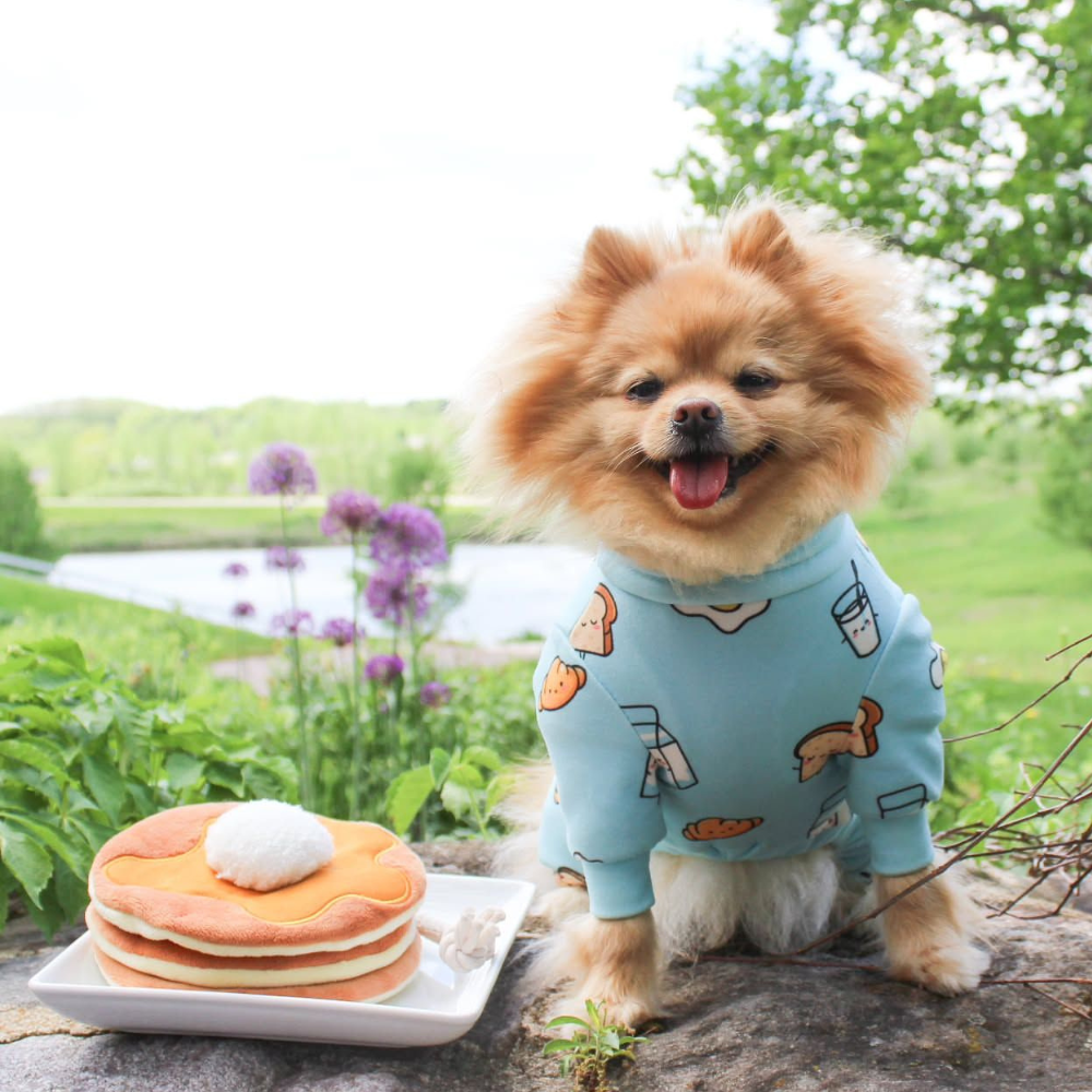 Dog Pajama - Breakfast Blue - Image 14