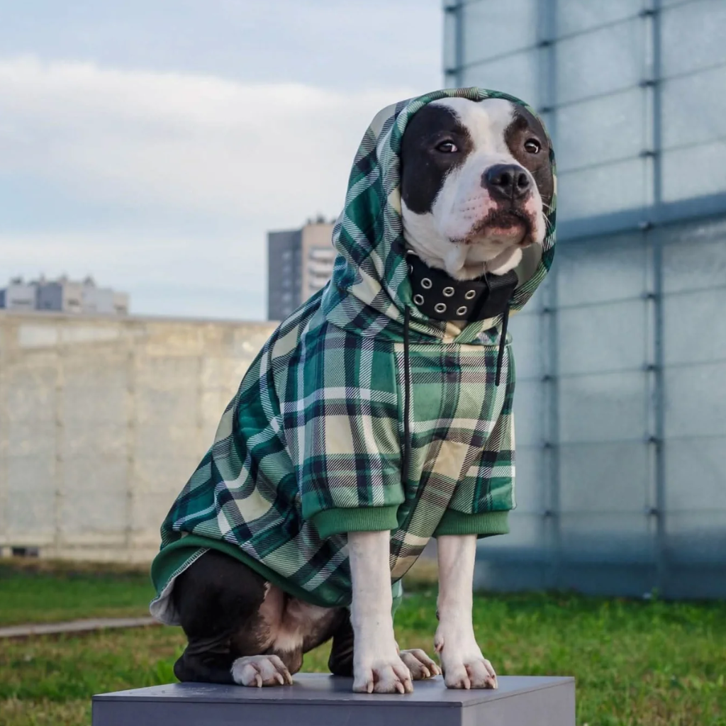 Green Plaid Dog Hoodie - Image 13