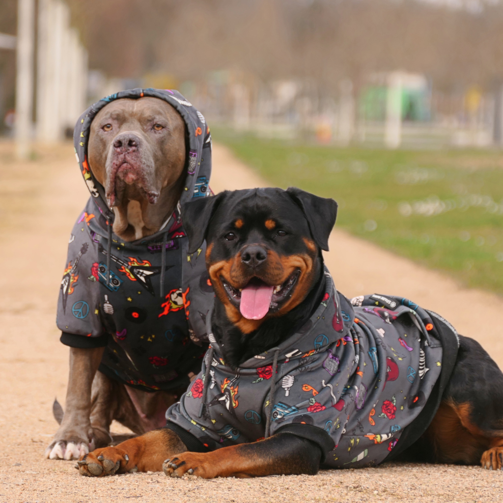 Rock and Roll Dog Hoodie - Image 14