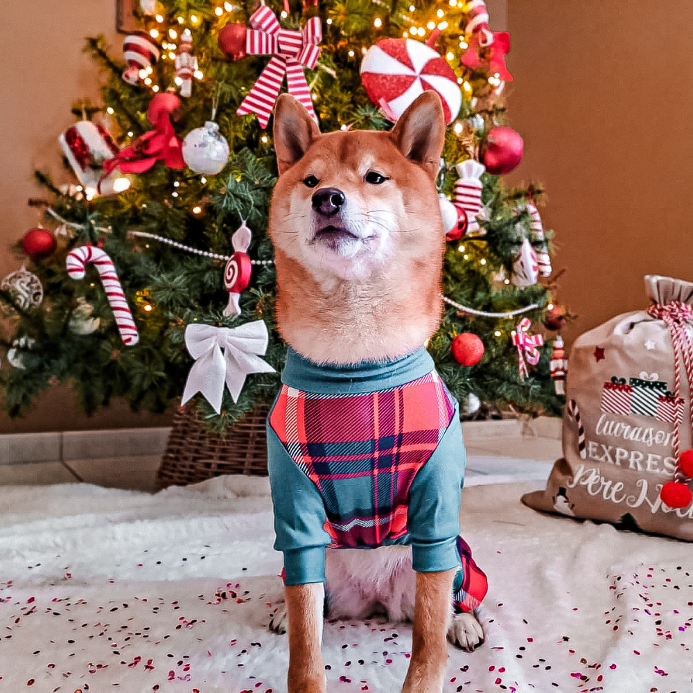 Dog Pajama - Green and Red Plaid - Image 13