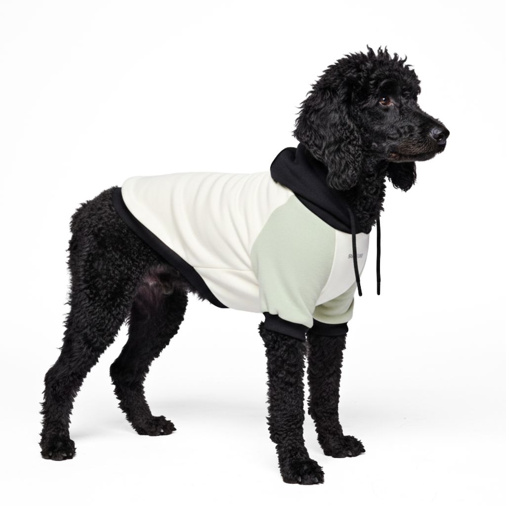 Olive Cream Dog Hoodie - Image 6