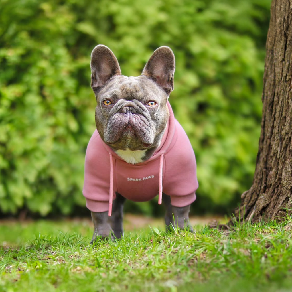 Essential Dog Hoodie - Dusty Pink - Image 12