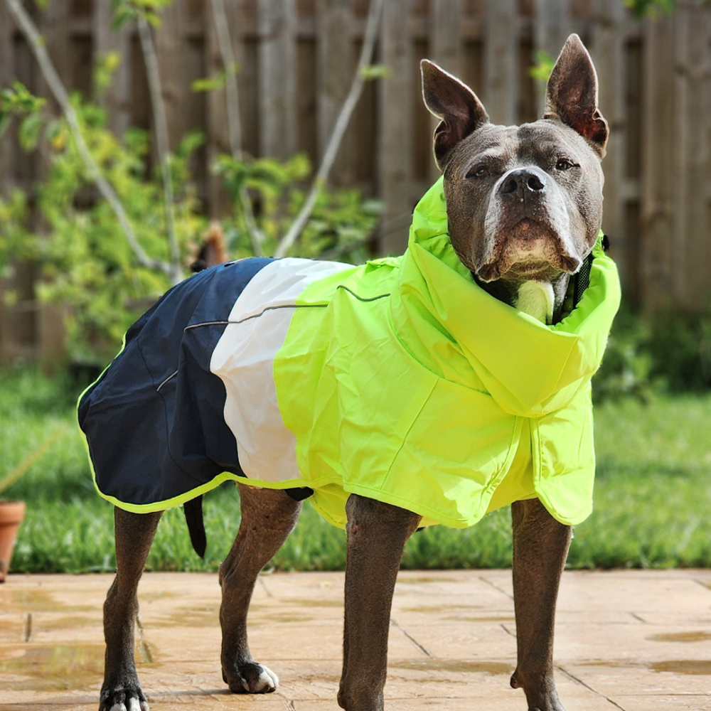 Breatheshield™ Dog Raincoat - Lime White Navy - Image 10