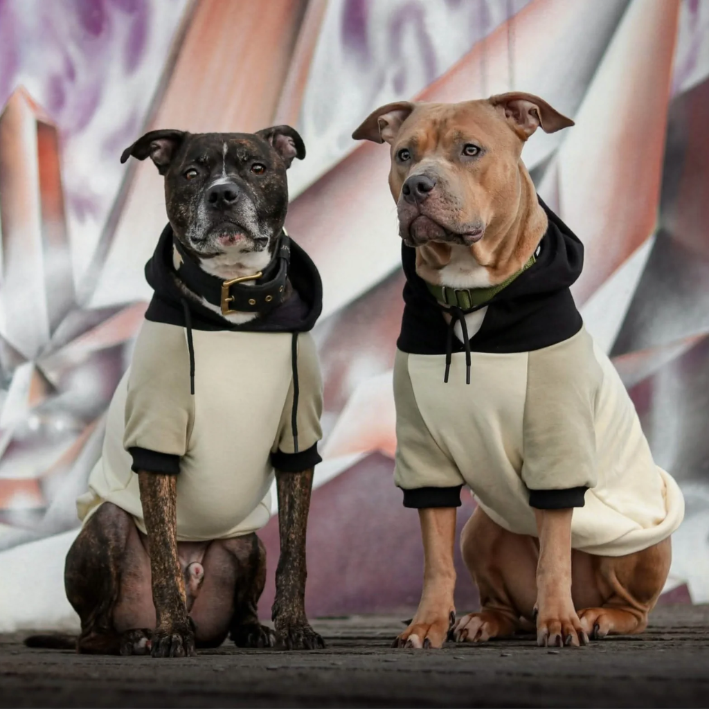 Olive Cream Dog Hoodie - Image 14