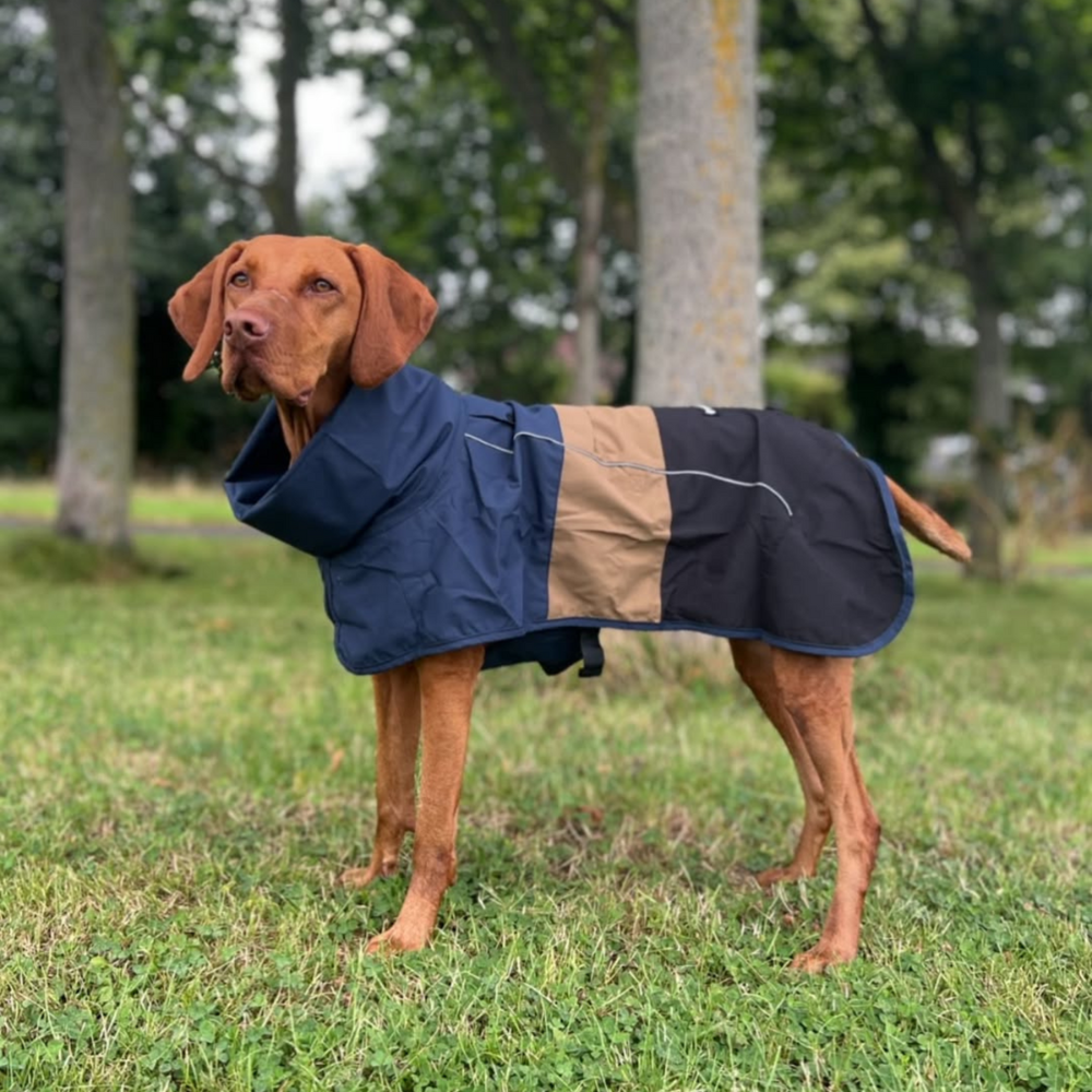 Breatheshield™ Dog Raincoat - Blue Gold Black - Image 12