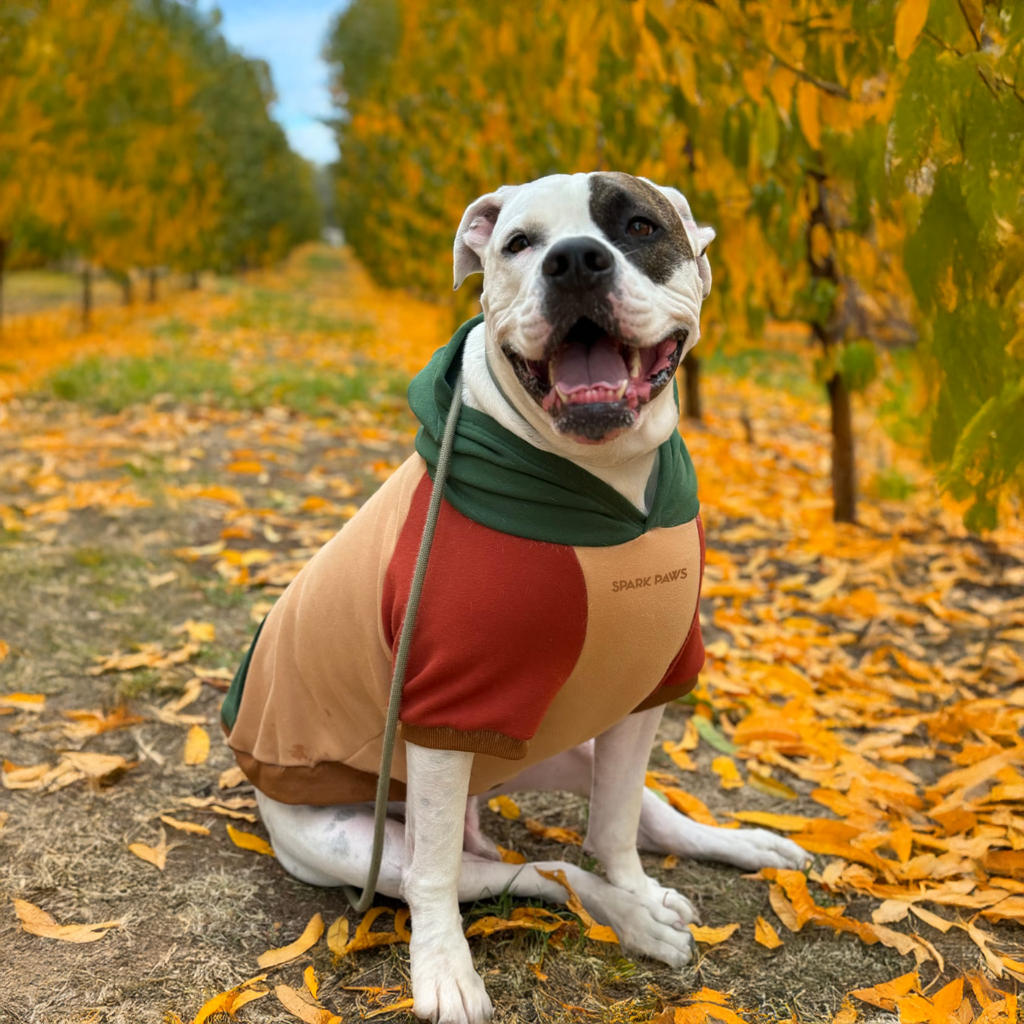 Ranger Dog Hoodie - Image 13