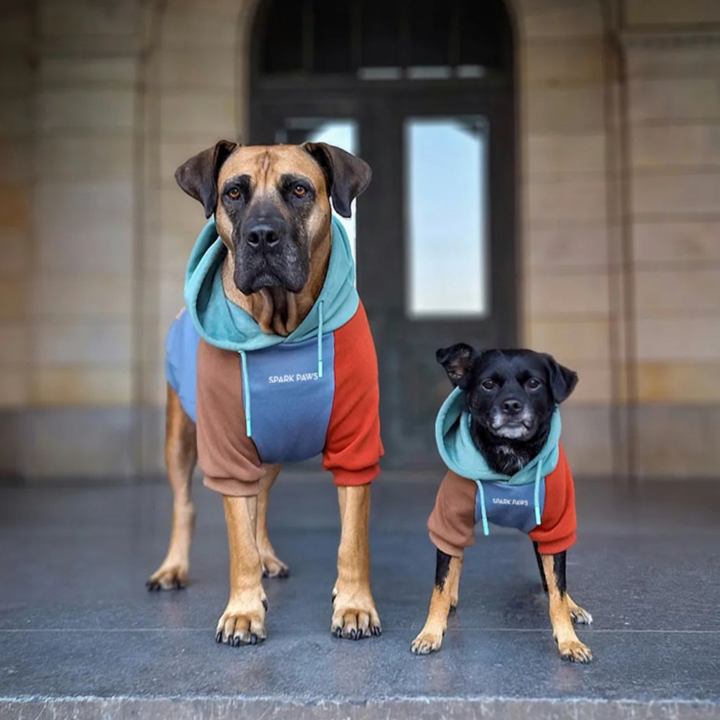 Alpine Dog Hoodie - Image 13