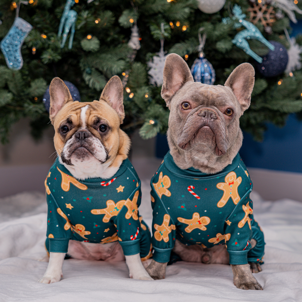 Dog Christmas Pajama - Gingerbread Man - Image 12