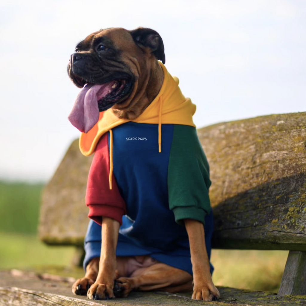 Primary Color Block Dog Hoodie - Image 14