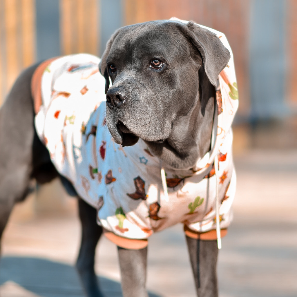Rodeo Dog Hoodie - Image 14