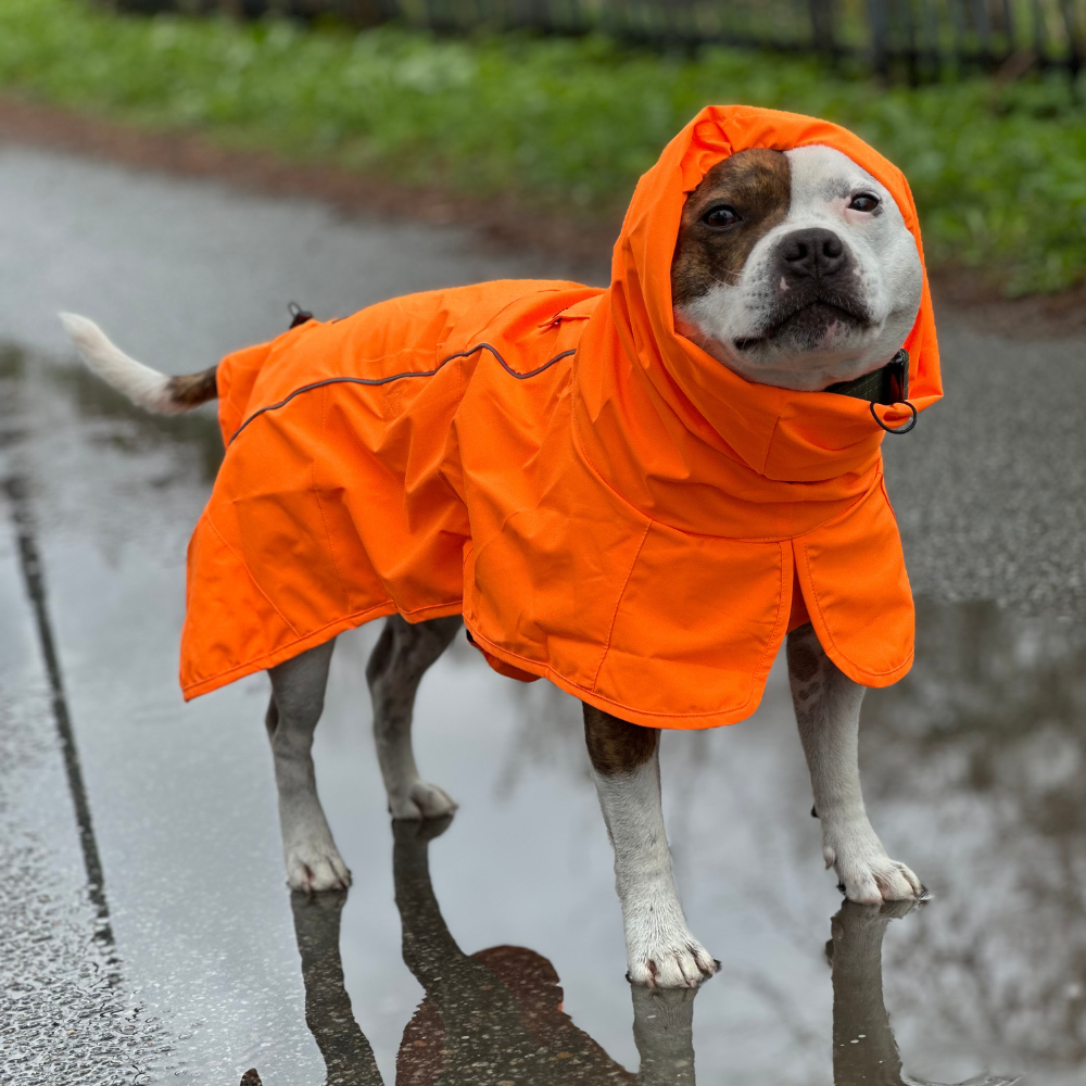 Breatheshield™ Dog Raincoat - Neon Orange - Image 10