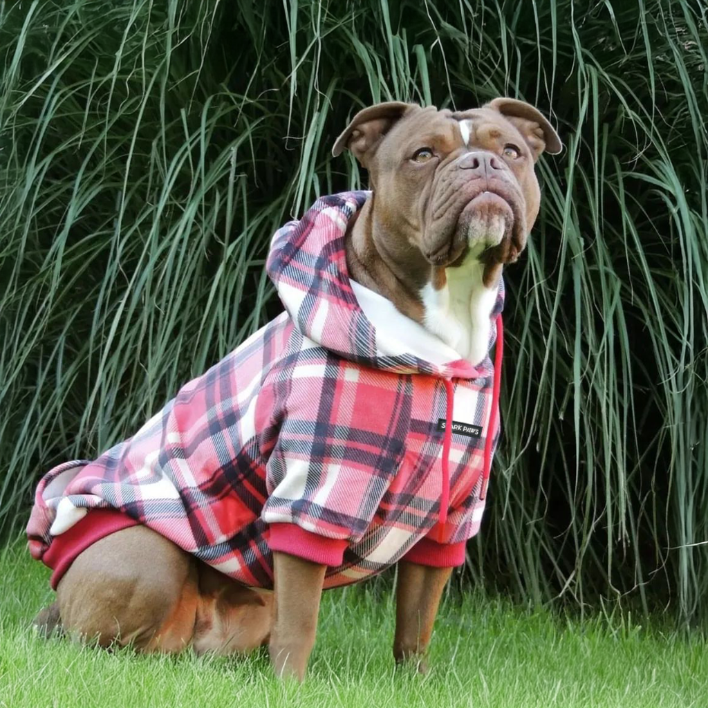 Red Plaid Dog Hoodie - Image 14