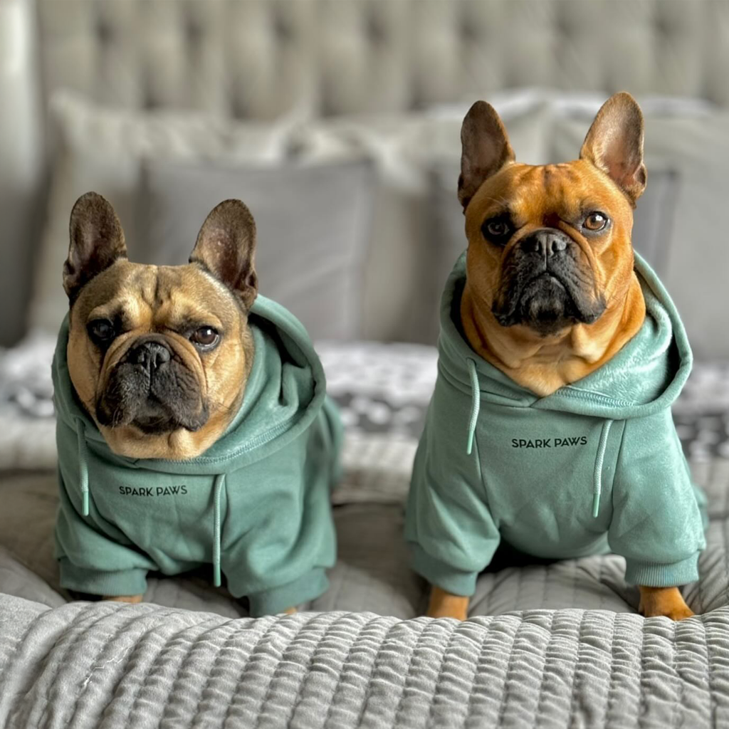 Essential Dog Hoodie - Teal - Image 13