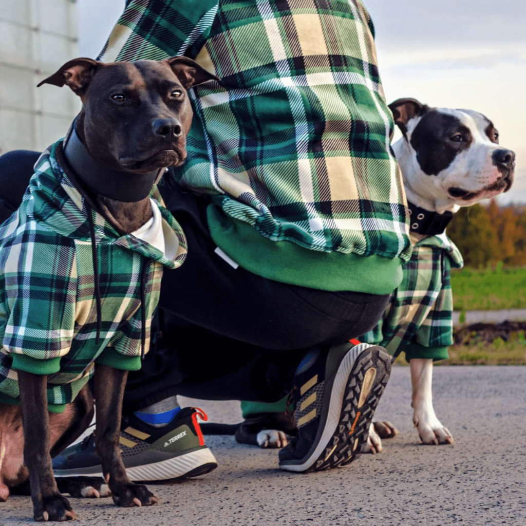 Green Plaid Dog Hoodie - Image 14