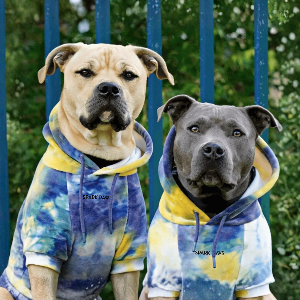 Velvet Dog Hoodie - Nova - Image 13