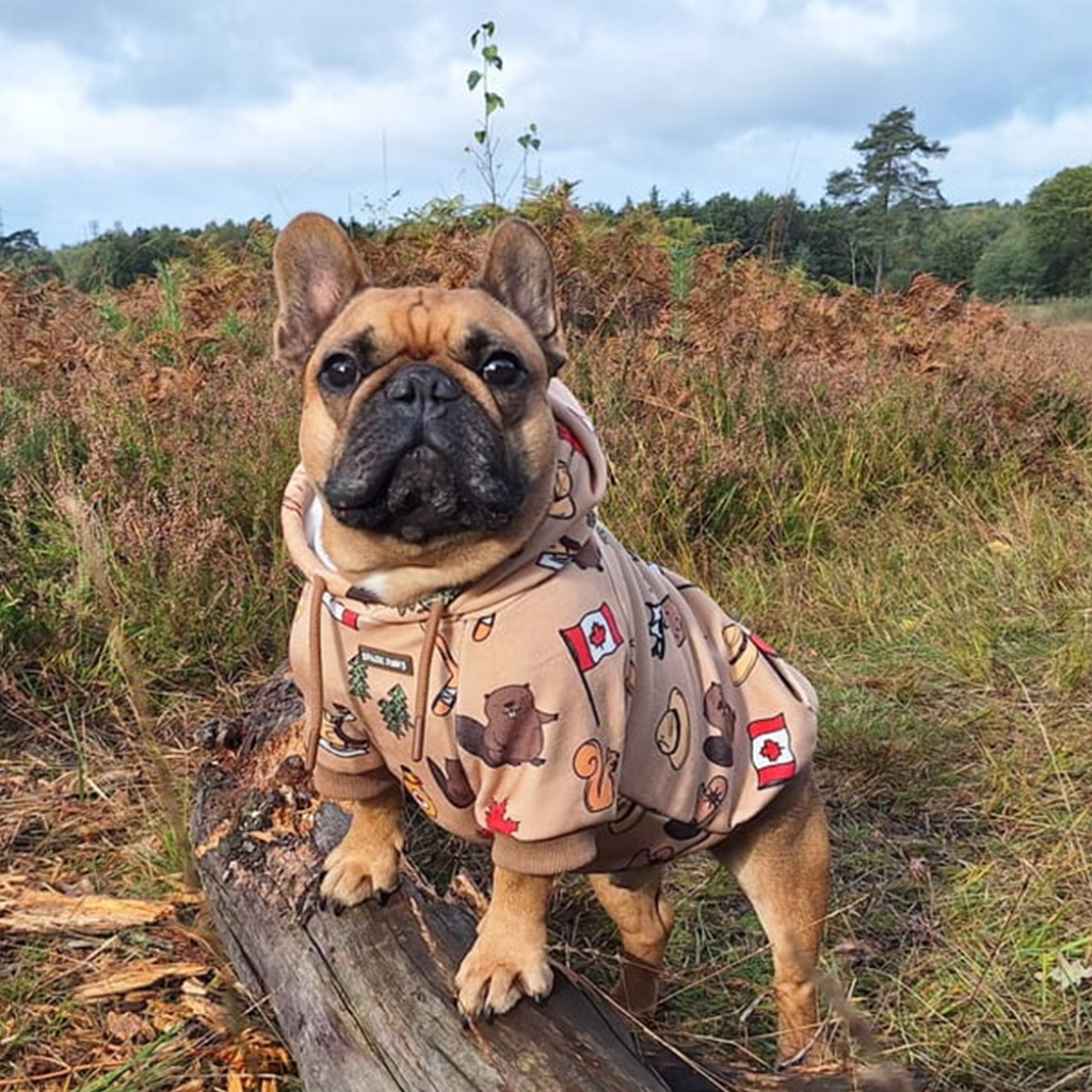 The Canada Dog Hoodie - Image 13