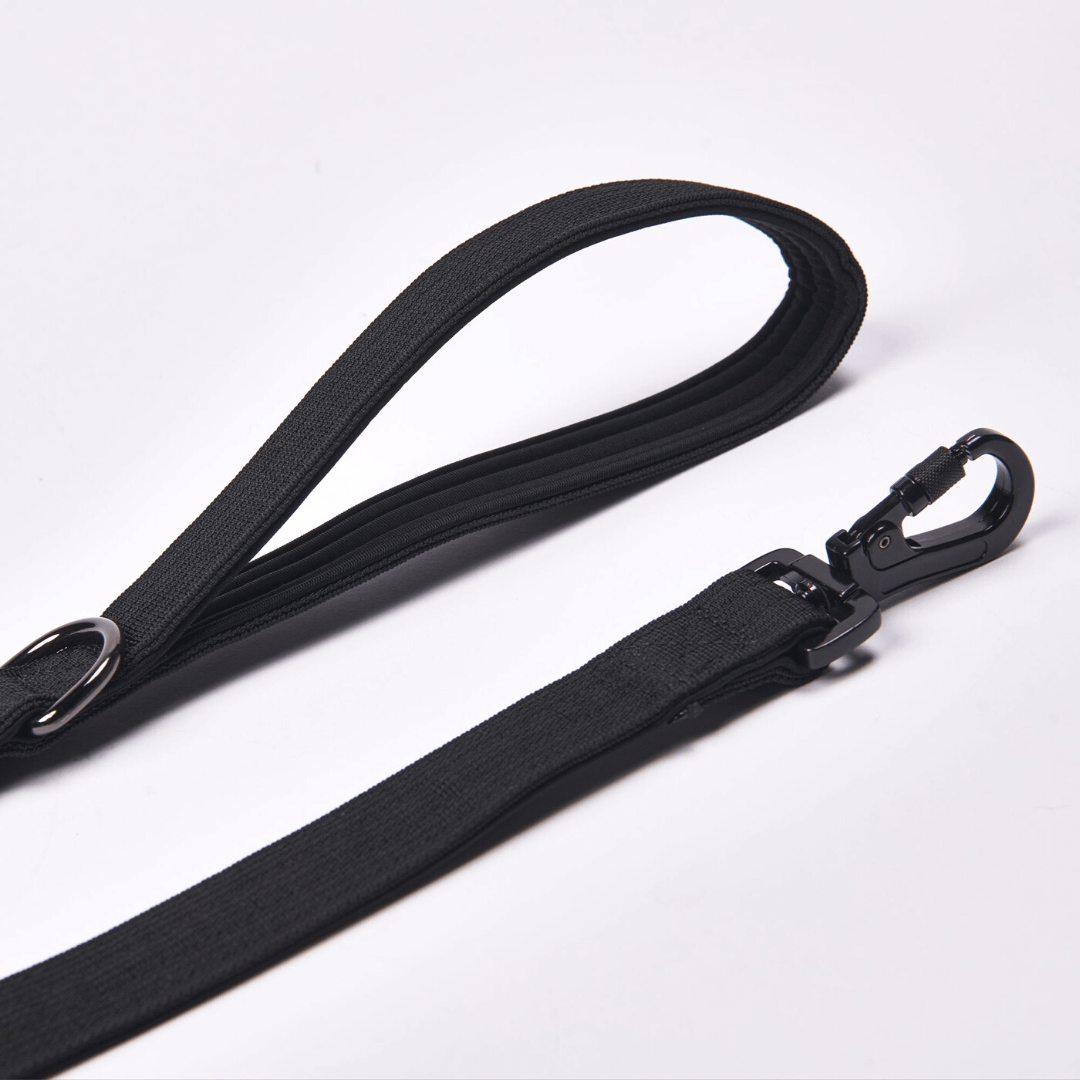 Leash and Poop Bag Holder Set - Black - Image 5