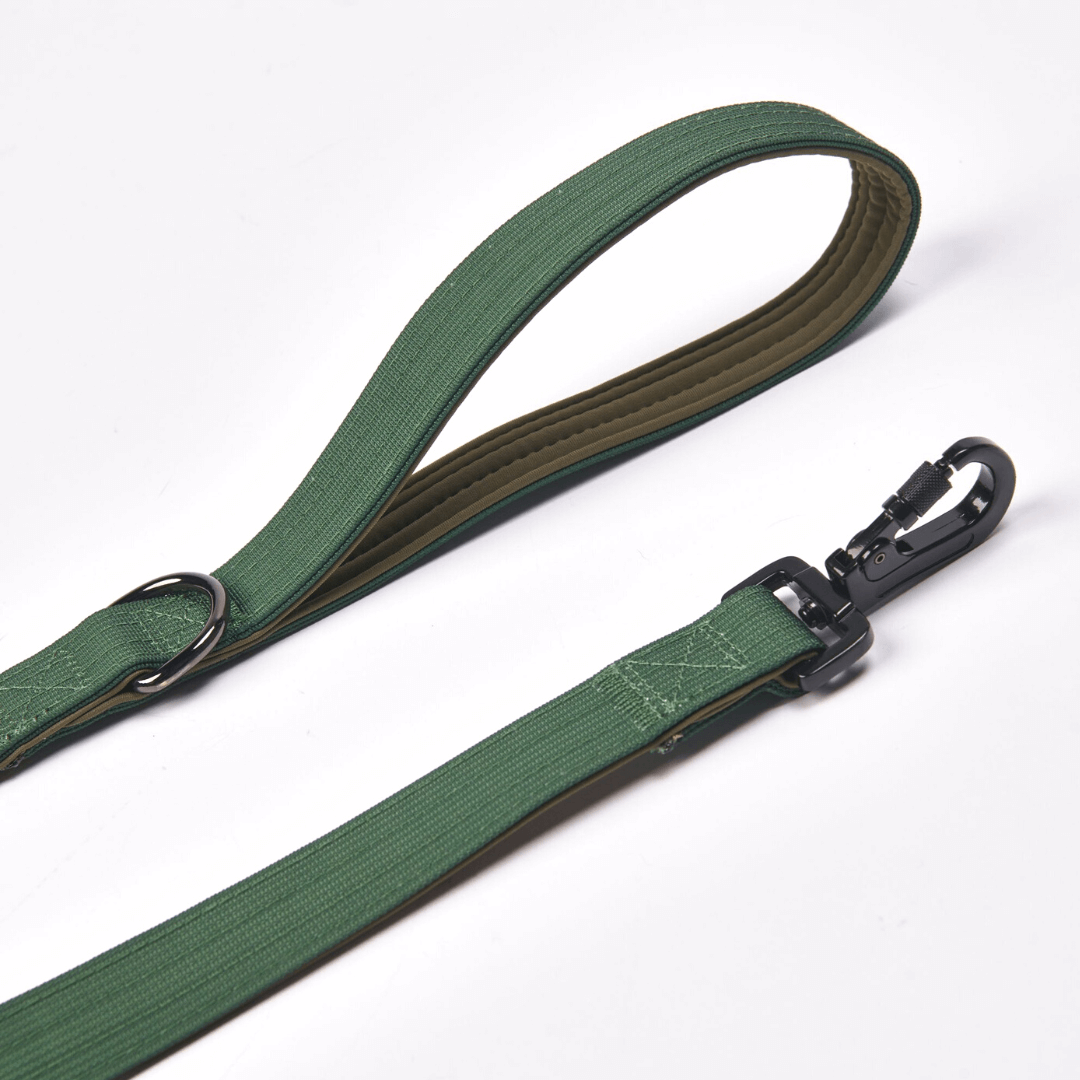 Leash and Poop Bag Holder Set - Army Green - Image 6