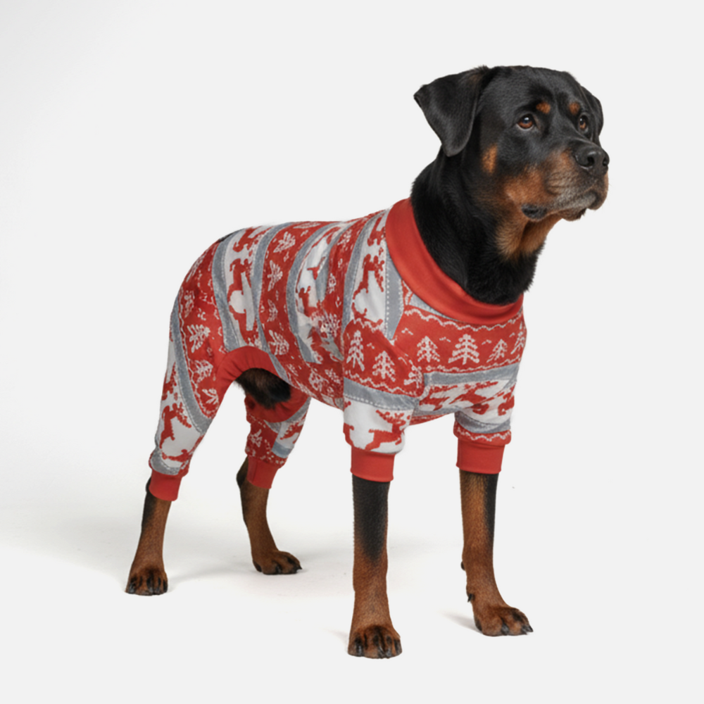 Dog Christmas Pajama - Winter Wonderland - Image 7