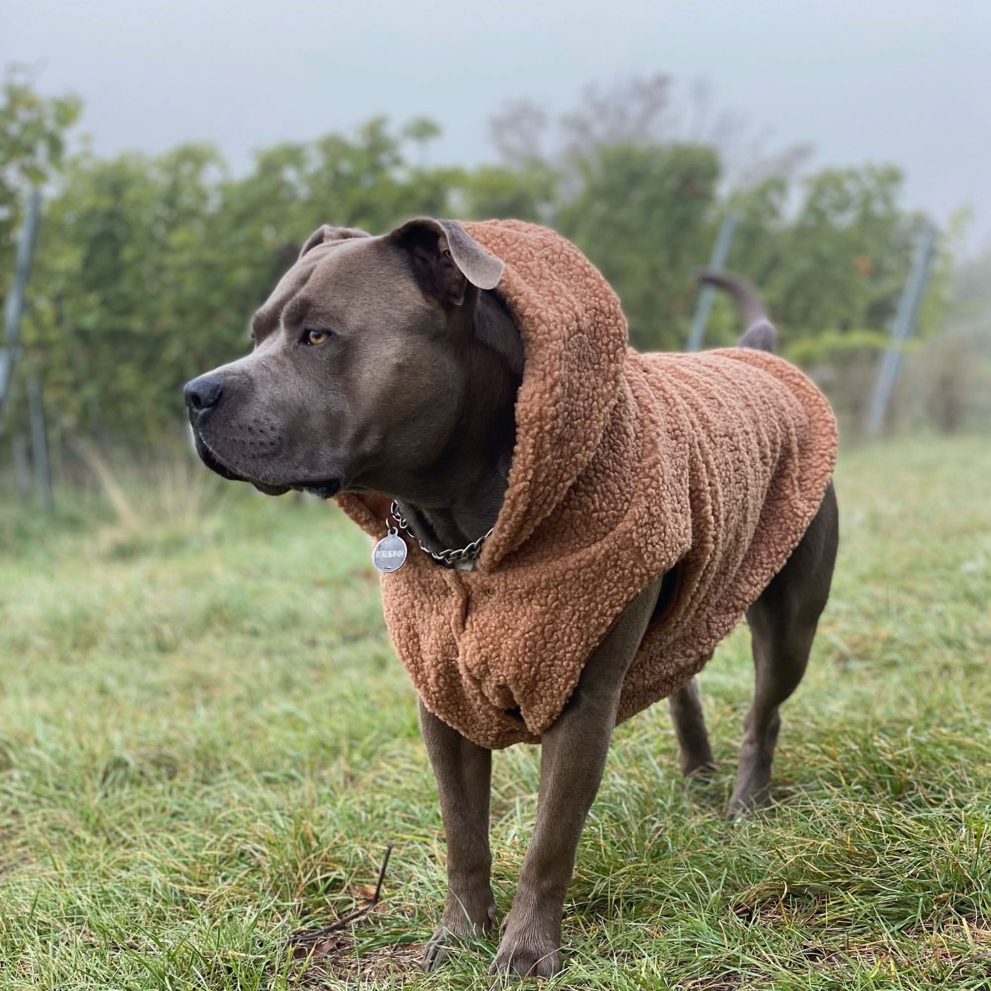 Teddy Sherpa Fleece Dog Jacket - Brown - Image 3