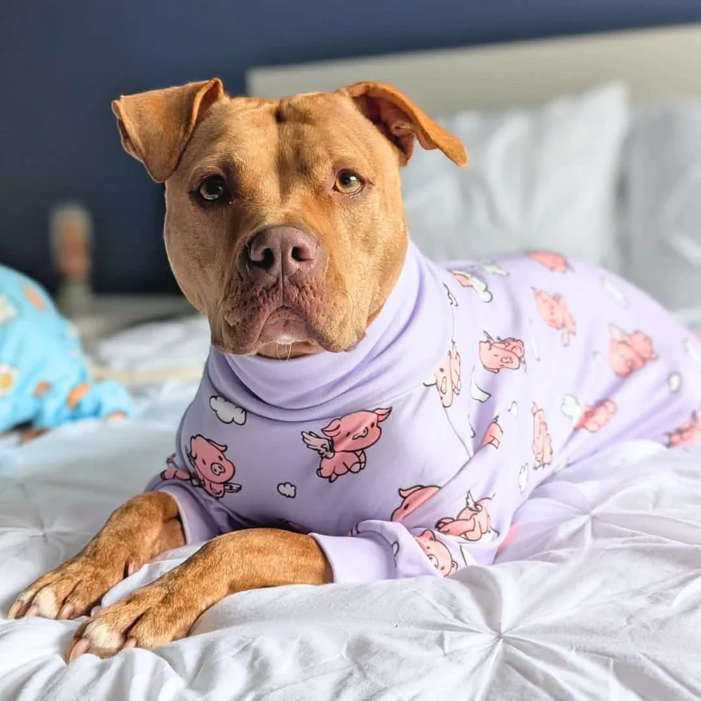 Dog Pajama - When Pigs Fly - Image 12