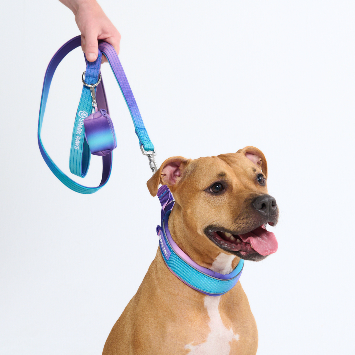 Cushioned Martingale Collar - 90s Retro - Image 9