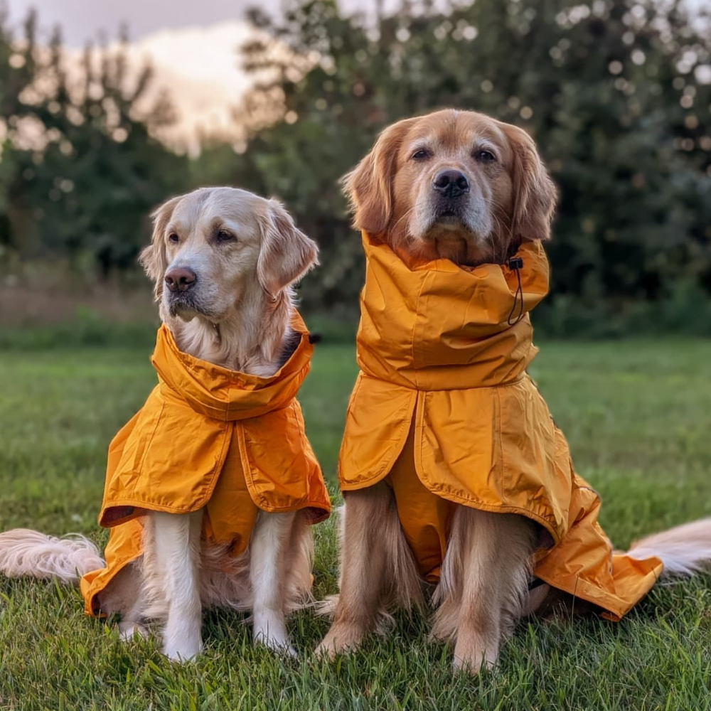 Breatheshield™ Dog Raincoat - Mustard Yellow - Image 12