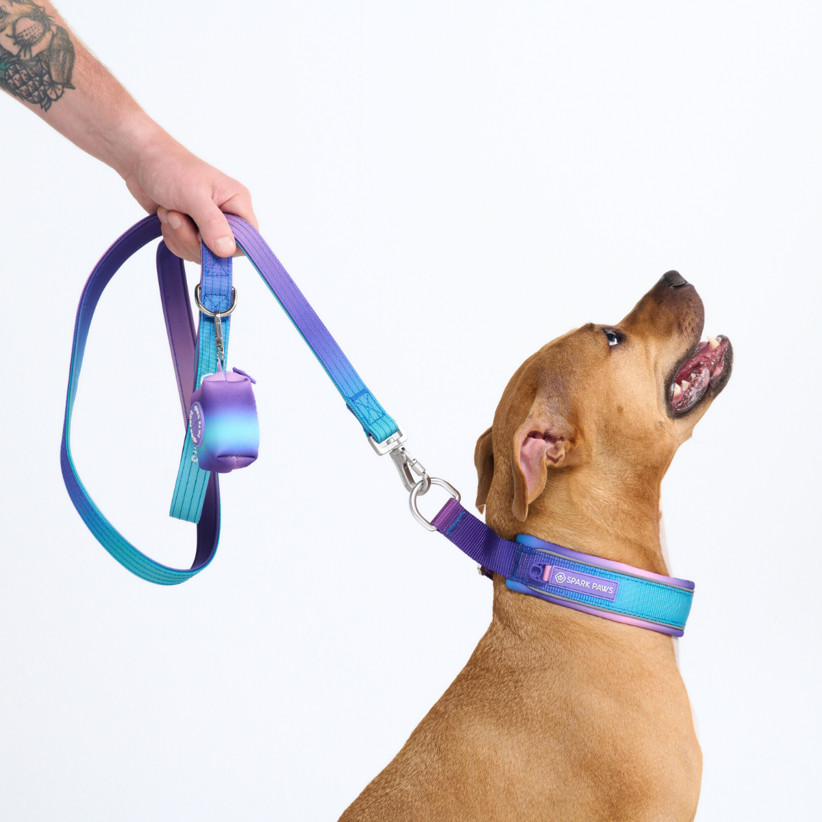 Cushioned Martingale Collar - 90s Retro - Image 10