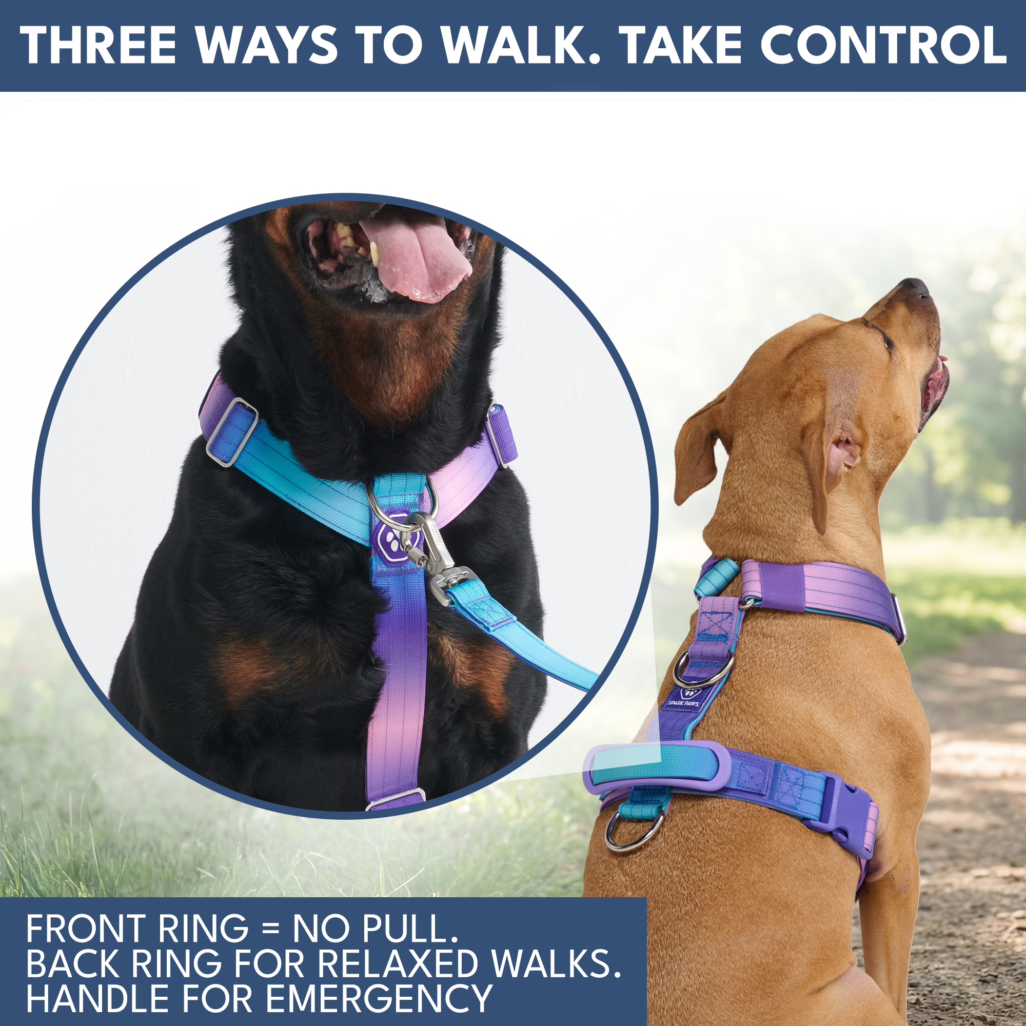 Comfort Control No-Pull Dog Harness and Multipurpose Leash Set - 90s Retro - Image 4