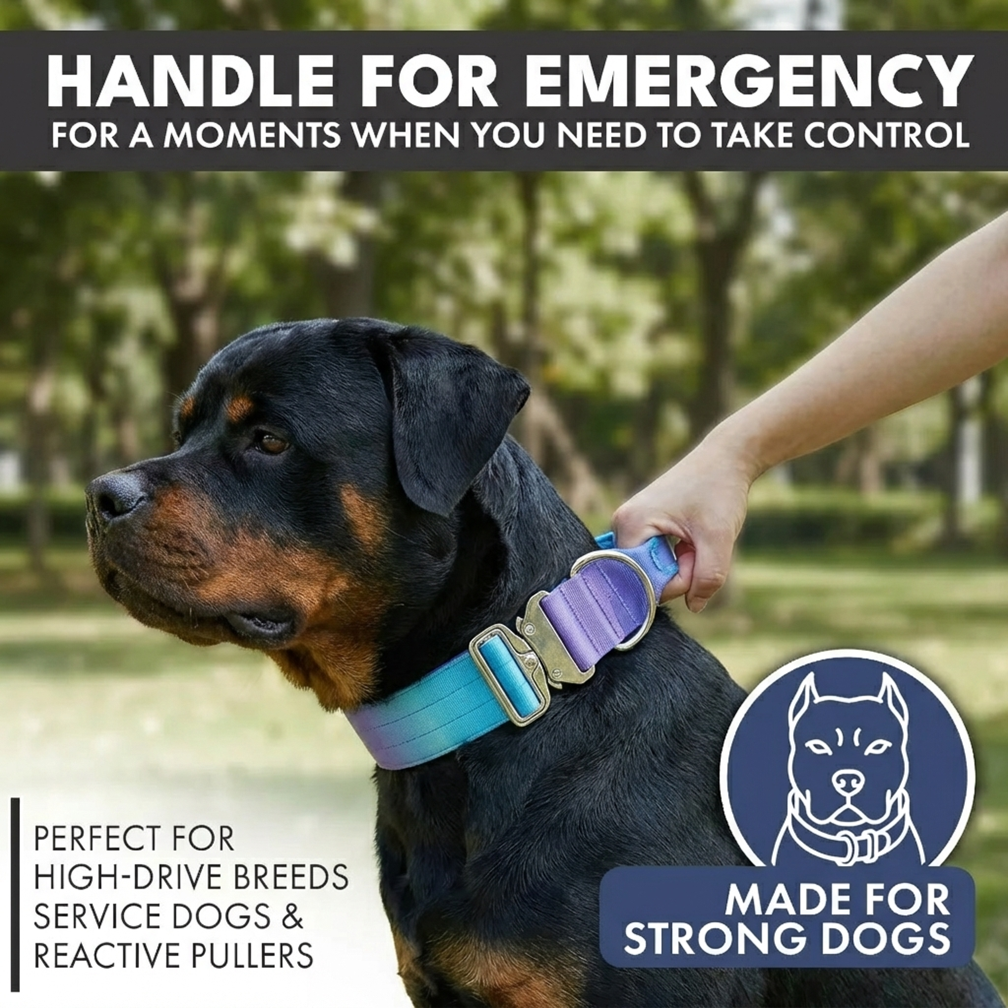 Comfort Control Collar - 90s Retro - Image 3
