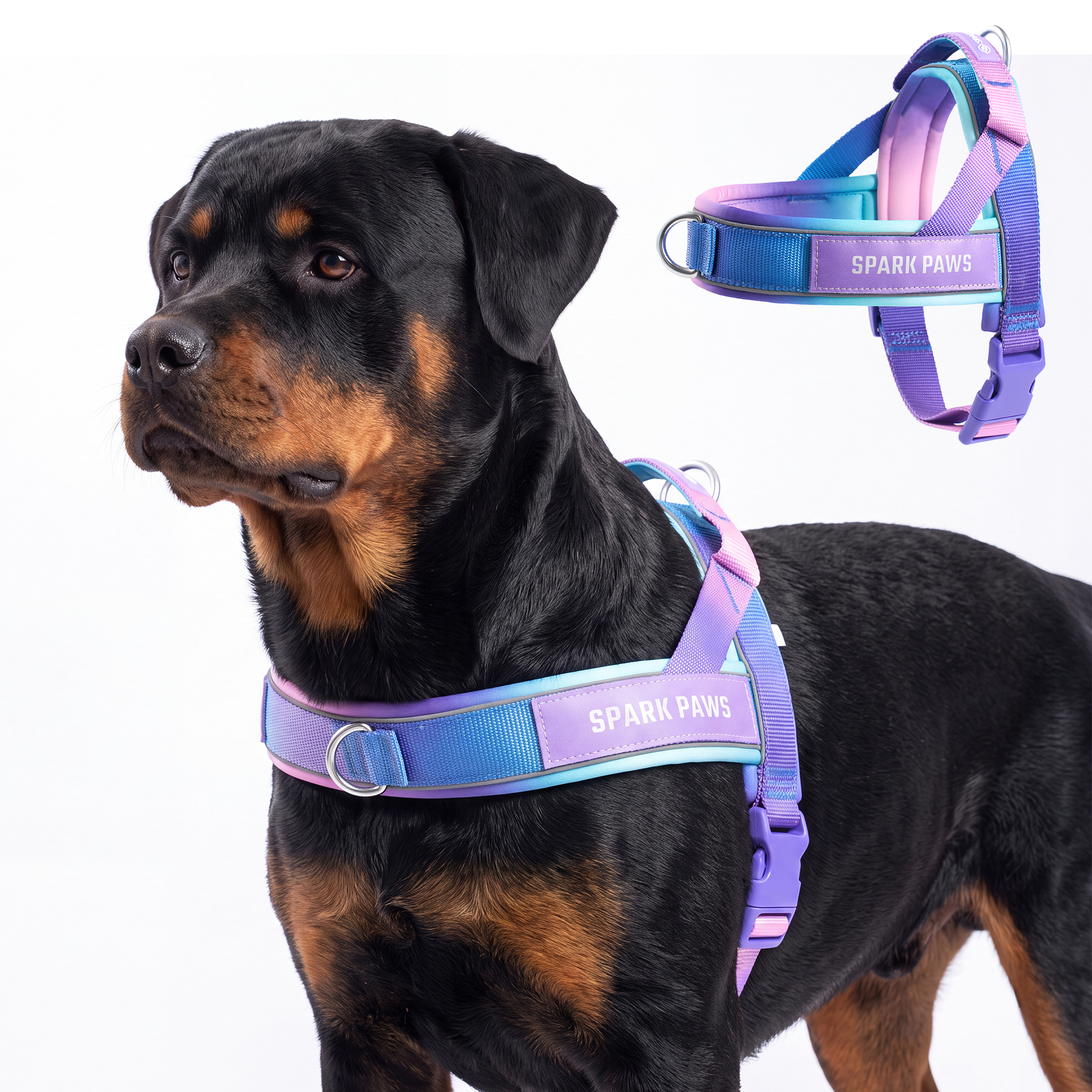Grab & Go Harness - 90s Retro - Image 7