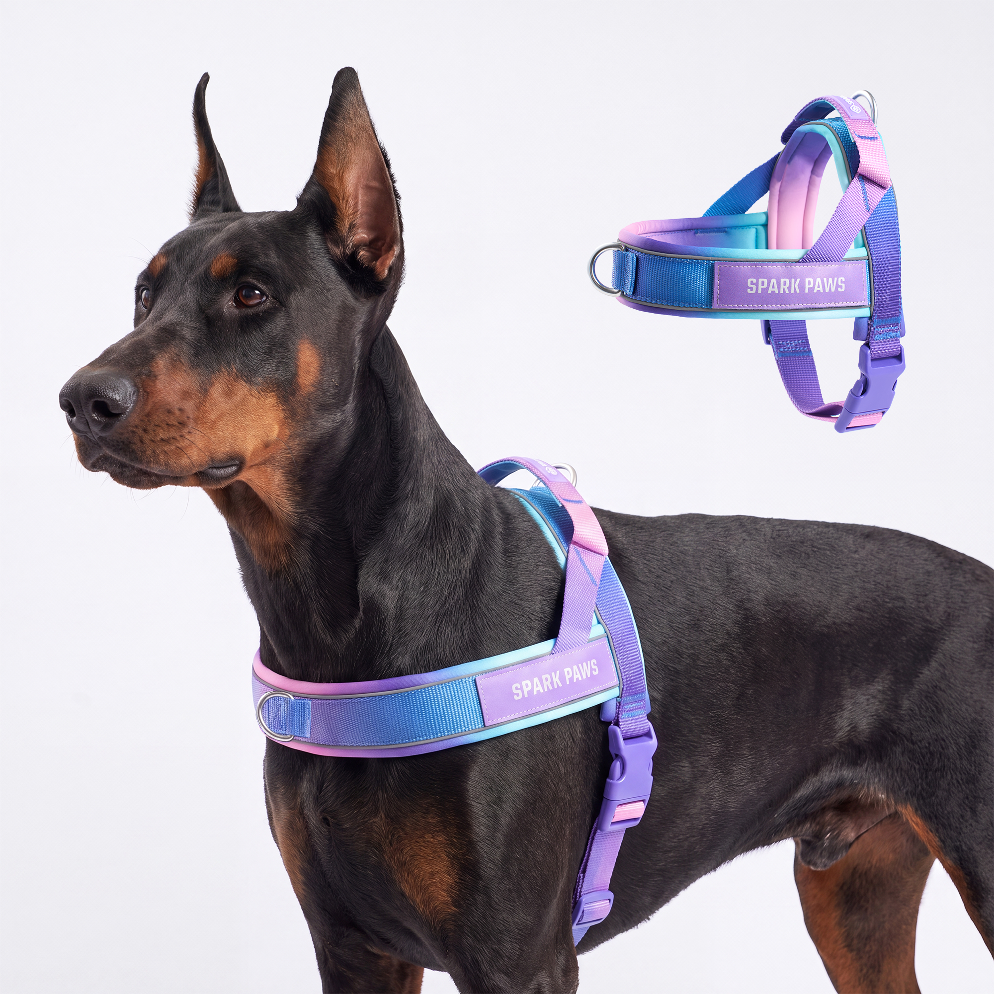 Grab & Go Harness - 90s Retro - Image 6