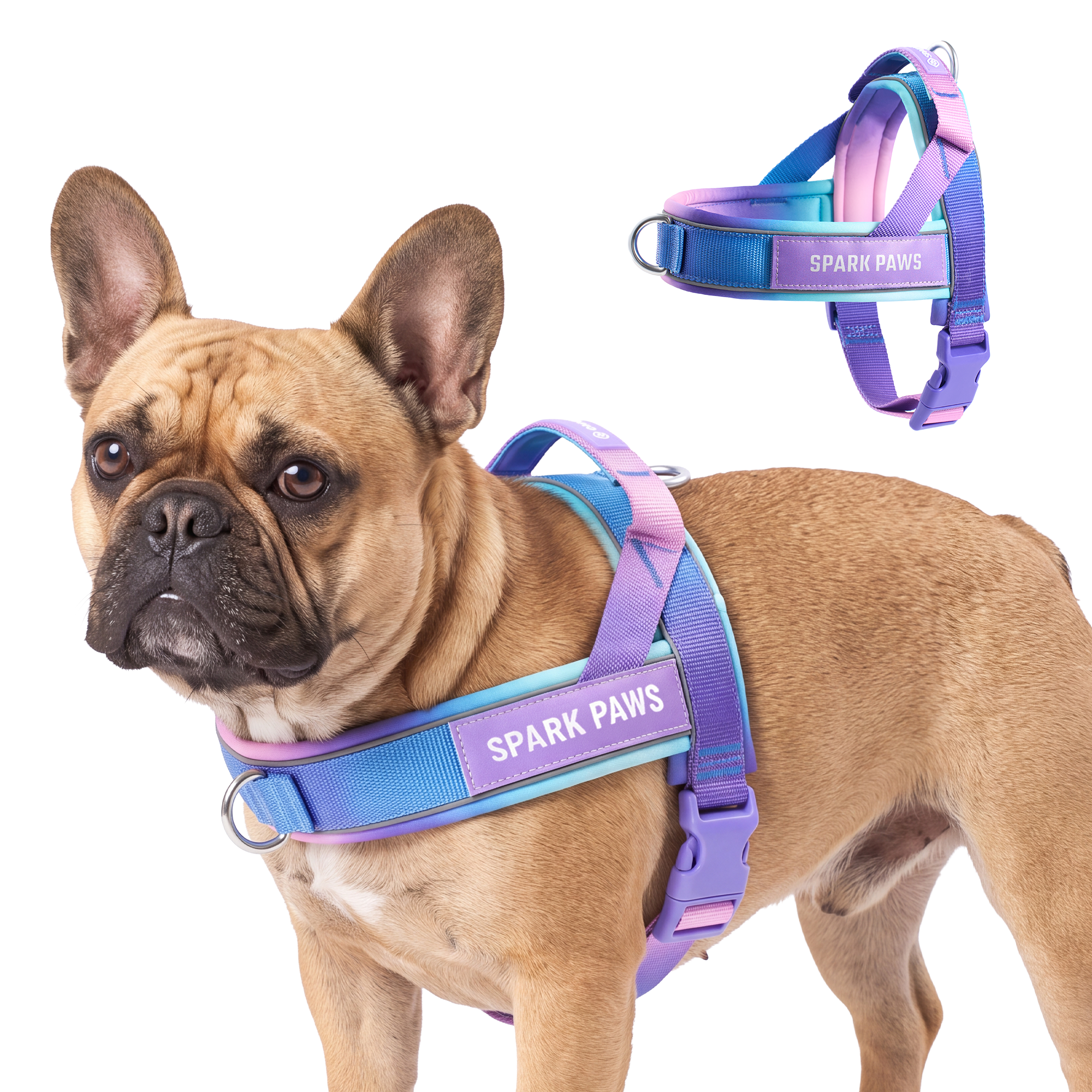 Grab & Go Harness - 90s Retro - Image 2
