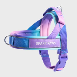 Grab & Go Harness - 90s Retro