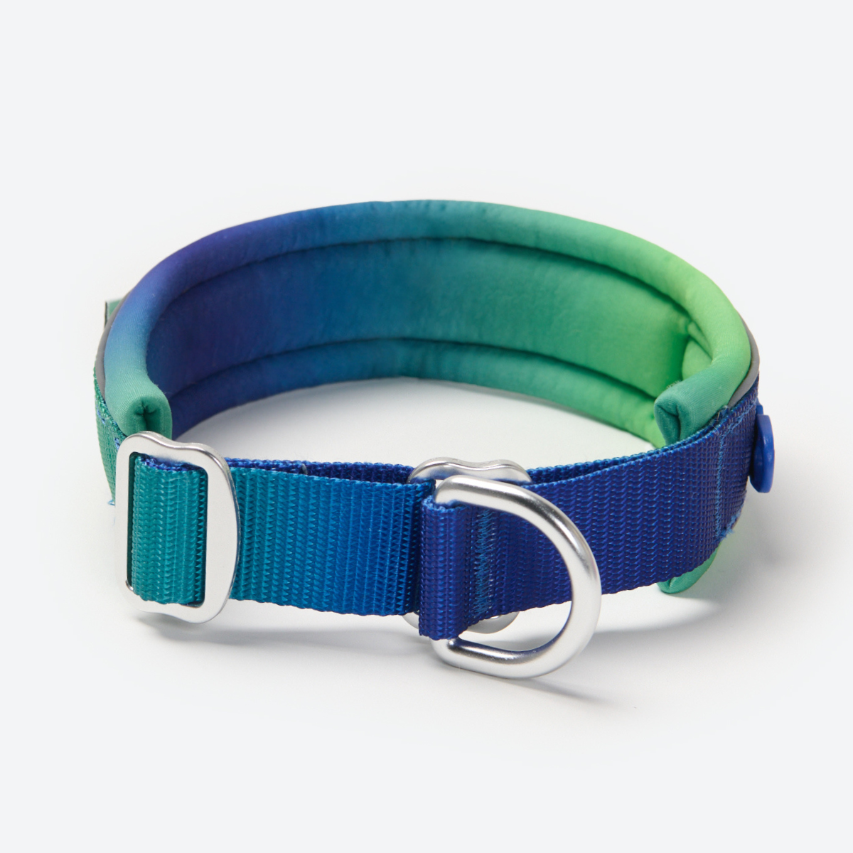 Cushioned Martingale Collar - Lime Wave - Image 7